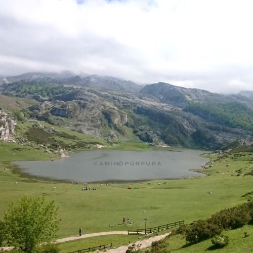 LAGO ERCINA COVADONGA