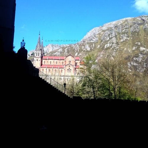 BASILICA VISTA DESDE LA CUEVA