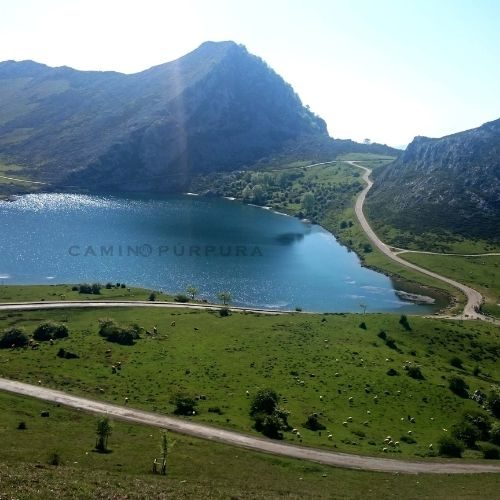 LAGO ENOL COVADONGA